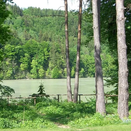 Eiche In Feistritz im Rosental